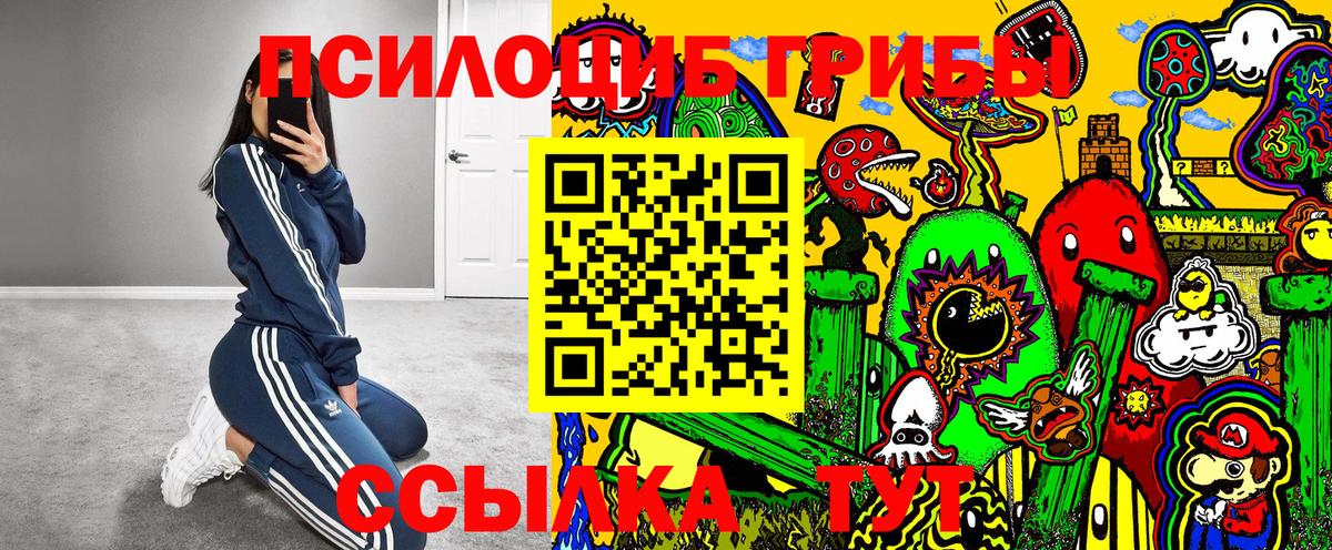 Галлюциногенные грибы Psilocybe Моздок
