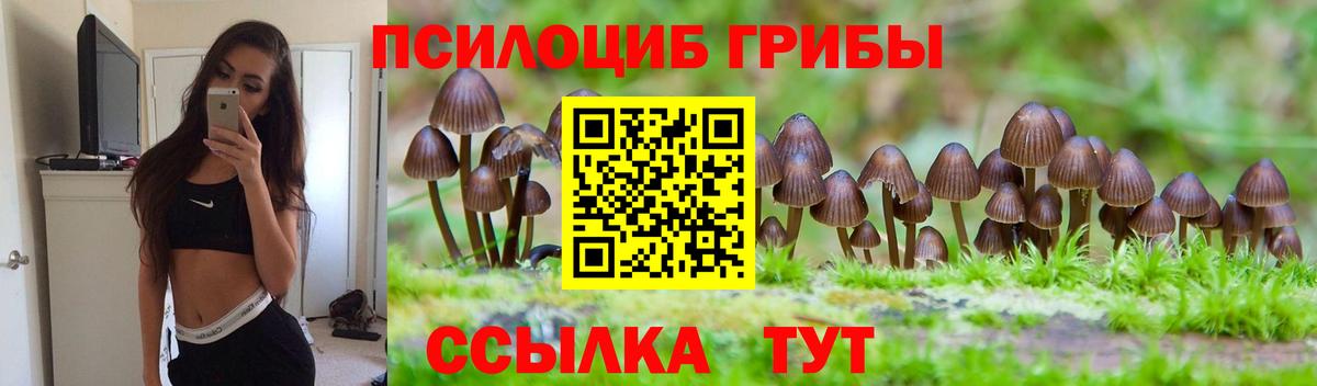 Галлюциногенные грибы Cubensis  Псилоцибиновые грибы Psilocybe  Вход с VPN  Моздок 